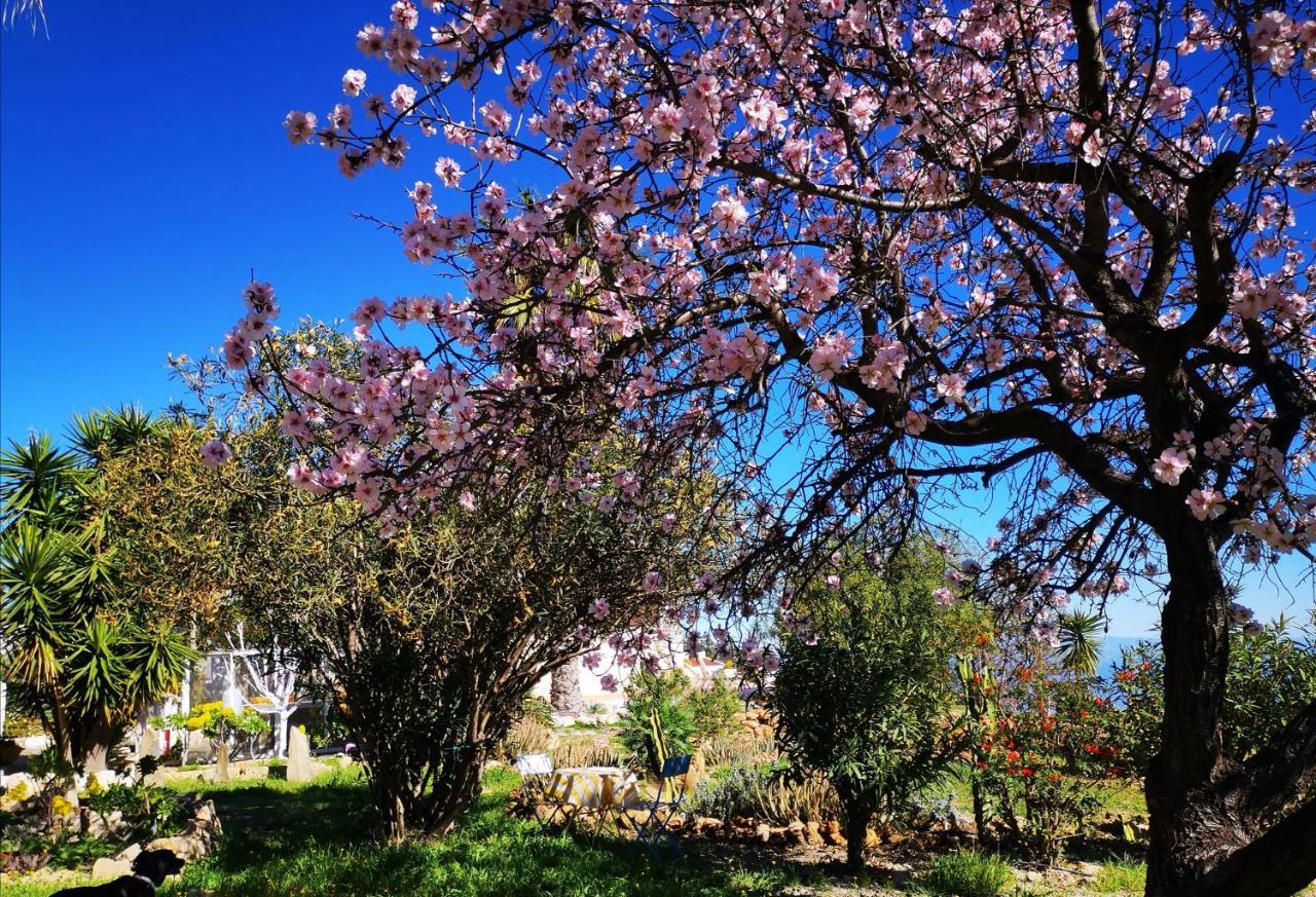 גרנדילה דה אבונה Finca Dulce Maikel מראה חיצוני תמונה