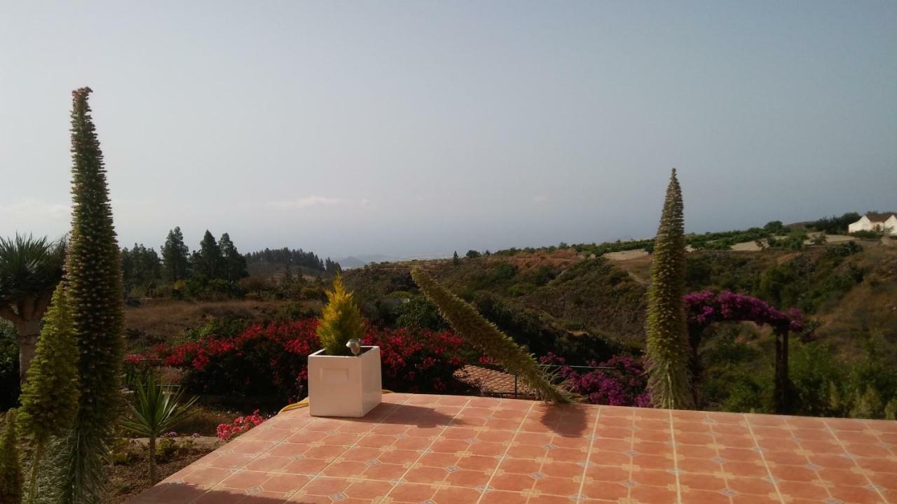 גרנדילה דה אבונה Finca Dulce Maikel מראה חיצוני תמונה
