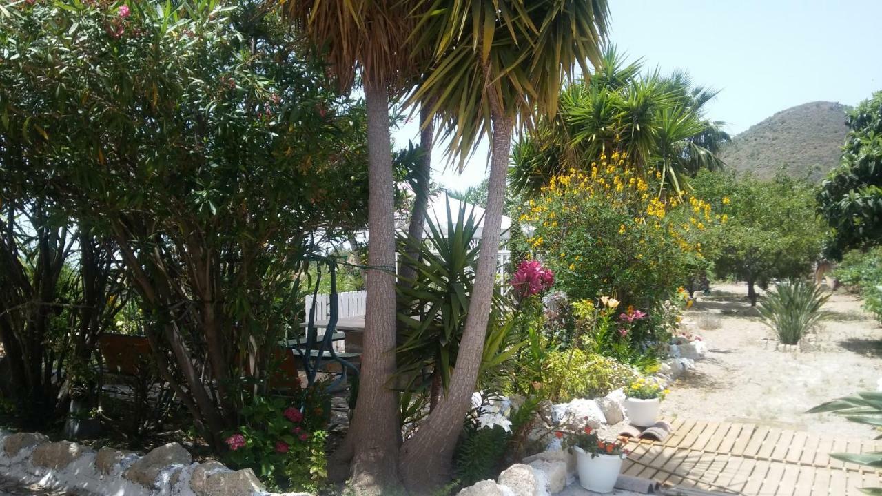 גרנדילה דה אבונה Finca Dulce Maikel מראה חיצוני תמונה