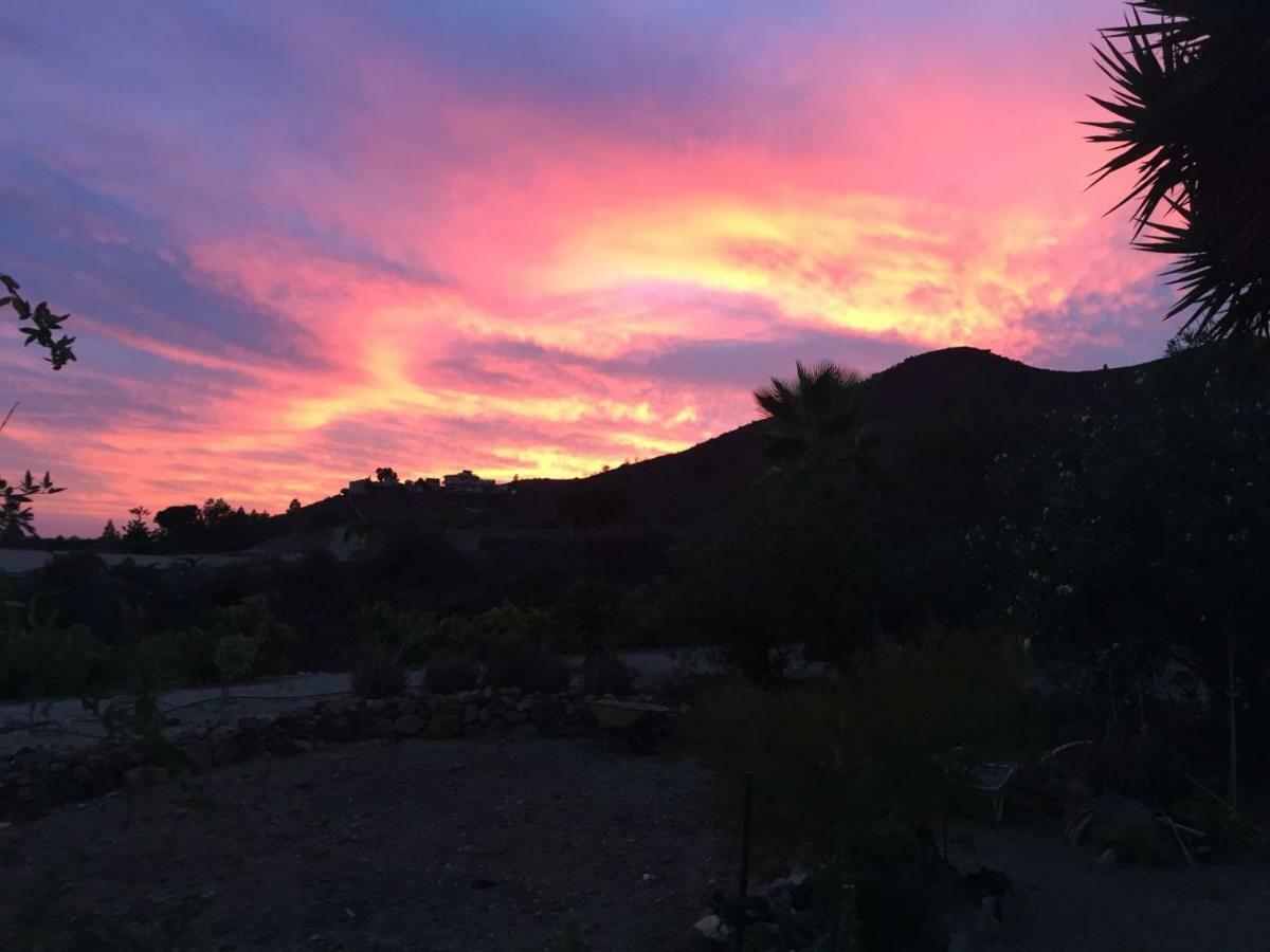 גרנדילה דה אבונה Finca Dulce Maikel מראה חיצוני תמונה