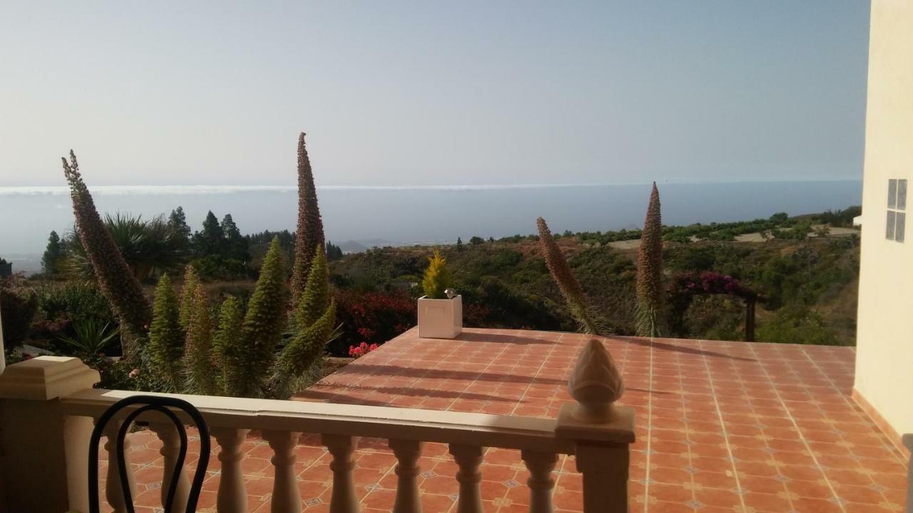 גרנדילה דה אבונה Finca Dulce Maikel מראה חיצוני תמונה