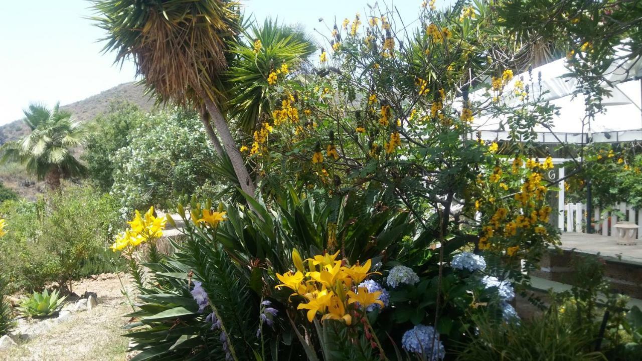 גרנדילה דה אבונה Finca Dulce Maikel מראה חיצוני תמונה